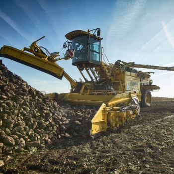 Chile más que país de bellezas